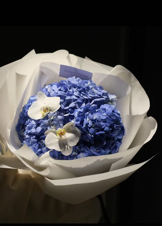 Blue Hydrangea with Phalaenopsis